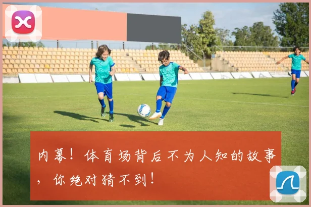 内幕！体育场背后不为人知的故事，你绝对猜不到！